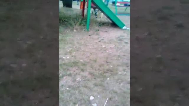 Участок "Пансионат Любимый". смотреть онлайн