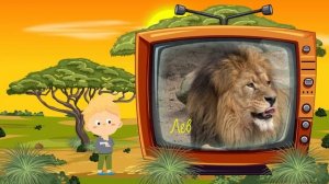 Дикие животные Африки: увлекательное детское видео об африканской фауне