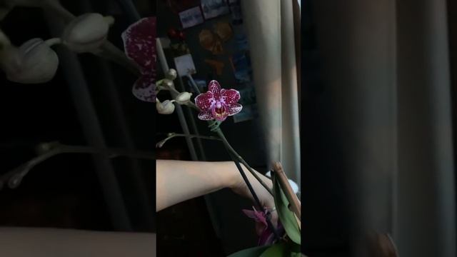 11 ноября 2021 г.