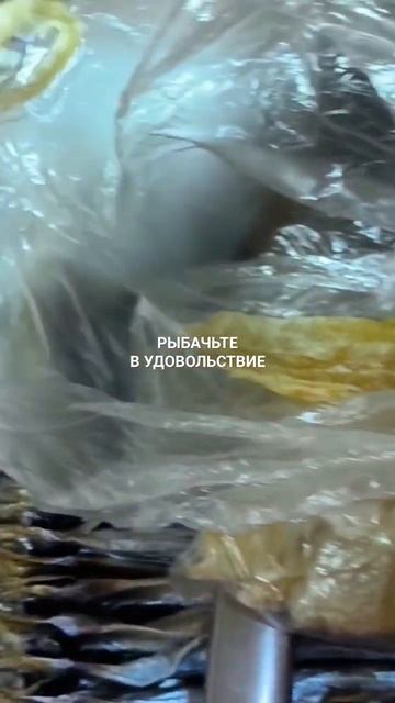 С мелкого ерша снимаю филе.