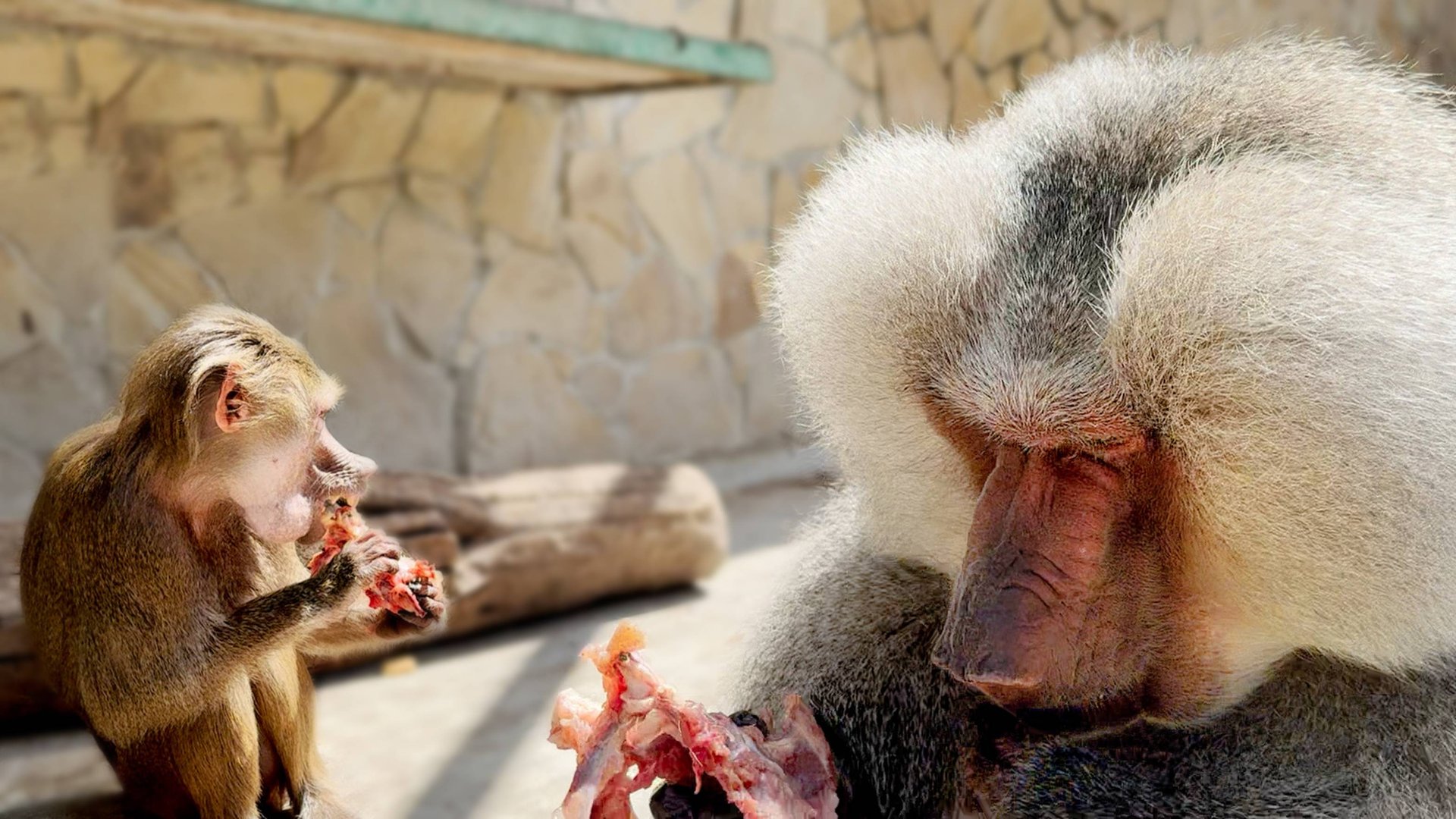 Ужас и кошмар: Лида умирает от голода! Демон Елисей не дает ей есть! ШОУ ПУСТЬ ГОВОРЯТ продолжается? смотреть онлайн