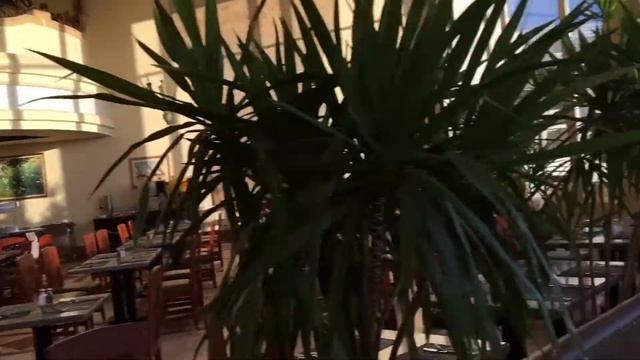 Отдых в Египте. Hilton Sharm Waterfalls смотреть онлайн