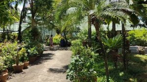 GOLDEN SAND INN / Обзор отеля / 2024