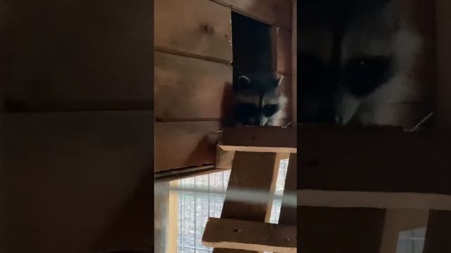 Олений бор . Калязин . 4 часть смотреть онлайн