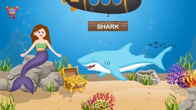 Best Kids Video For Kids - Learn Names Of Fish 2019 - Fun to learn Kids смотреть онлайн