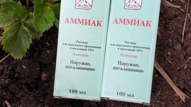Кто такие нематоды и от куда беруться? Срочно Спасаем клубнику от НЕМАТОД. Просто и дешево! смотреть онлайн