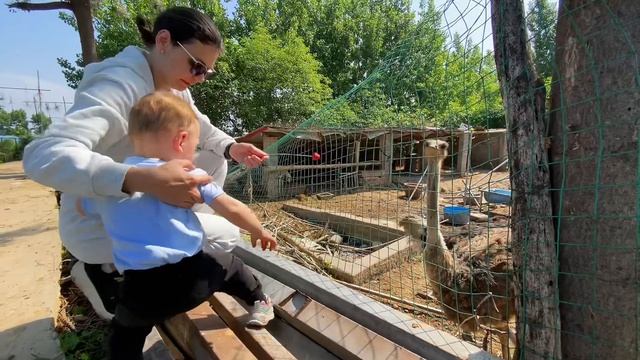 Жизнь в Китайской деревне 2024 ПОЛЯ КЛУБНИКИ и пеший отдых в городе смотреть онлайн
