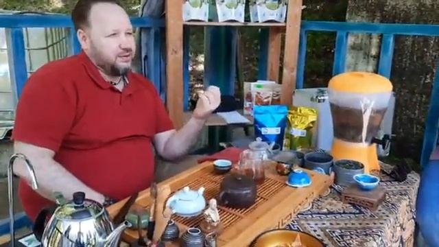 Слово чайного эксперта в парке Дендрарий (2022) смотреть онлайн