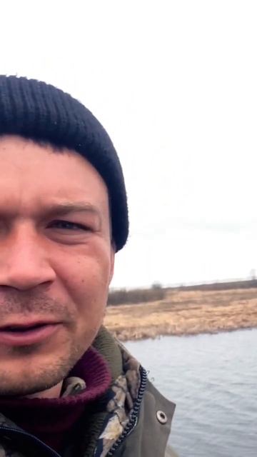 Кто согласен?ставим 👍 #fishing #рыбалка #fishing #nature #красотыприроды #рыба #вечер #весна смотреть онлайн