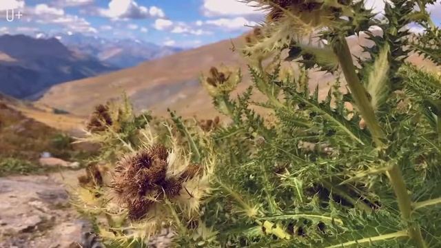 10 лучших дорог для велосипедиста. Самые живописные веломаршруты мира. смотреть онлайн