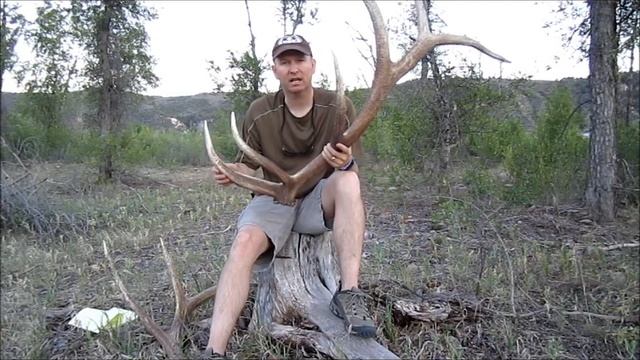 How To Field Judge Bull Elk Antlers 2 By JayScottOutdoors