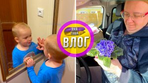 Яна идентифицирует себя как кактус! Подстригли сына впервые! Фиалки. Зацвел миндаль!