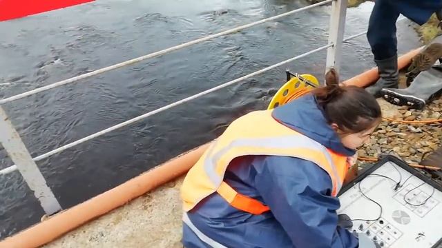 Водолазы РЖД на реке Лебяжка. Заполярье смотреть онлайн
