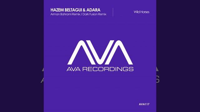 Wild Horses (Arman Bahrami Remix)