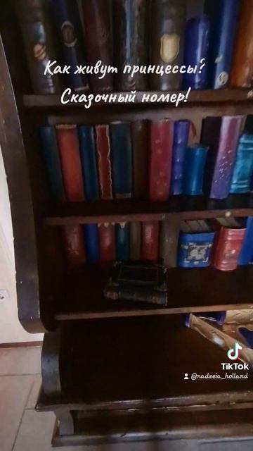 Люкс в отеле Эфтелинг!#принцесса #замок #туризм #Нидерланды #Эфтелинг #сказка #holland #nederland смотреть онлайн