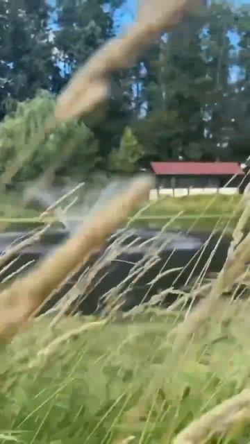 ОТЕЛЬ ВСЕ ВКЛЮЧЕНО! #топ #рек #отель #вкуснаяеда #всевключено смотреть онлайн