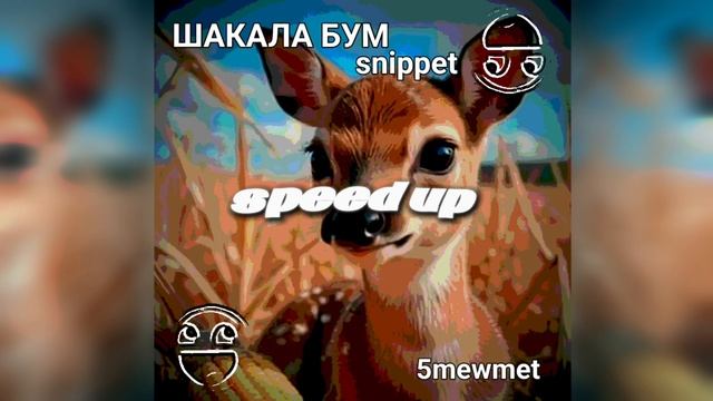 ШАКАЛА ШАКАЛА ШАКАЛА БУМ [snippet] [speed up] - 5mewmet смотреть онлайн