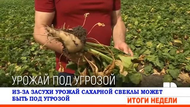 Новости 20 августа 2022 года смотреть онлайн