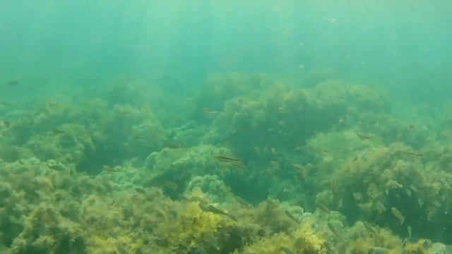 Большой Утриш. Прогулка и подводное видео. смотреть онлайн