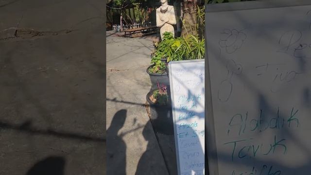 ПРИЕХАЛИ В ГОРЫ ДЕРЕВЕНСКИЙ РЫБНЫЙ РЕСТОРАН #турция #мерсин #врек #мерсинтурция #еда #рыба #природа смотреть онлайн