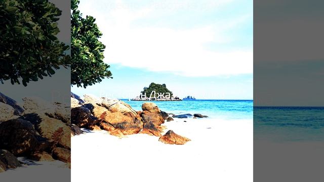 Гладкий; плавный Объем памяти Готовка смотреть онлайн