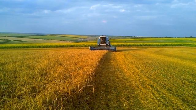 СЛАВУТИЧ КЗС - 9-1 УБОРКА ЯЧМЕНЯ 2016 ПЕРВЫЙ СЕЗОН смотреть онлайн