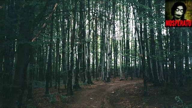 Случай в осеннем лесу. Страшные истории на ночь 🫣🫣🫣 смотреть онлайн