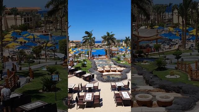 @TROPITEL SAHL HASHEESH 5* Тропитель сахл хашиш 5