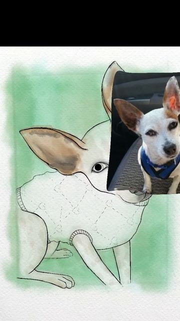 Dog Pet Portrait in Procreate смотреть онлайн