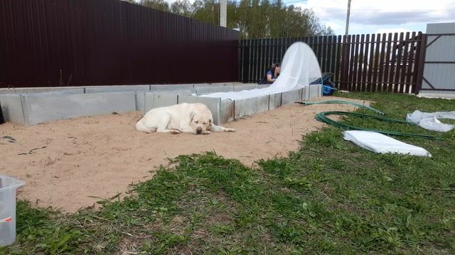 Мне не понравилось эти дуги , но пока так , чего их хвалят или я неправильная. смотреть онлайн