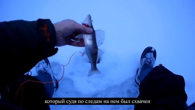 ЗА СУДАКОМ ЧАСТЬ 3 смотреть онлайн