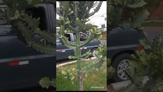 Сезонные наблюдения в мае 23 года