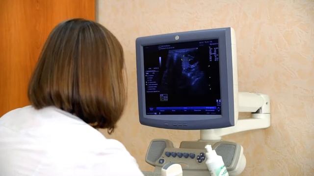 Лесной Узи 1мин10сек смотреть онлайн