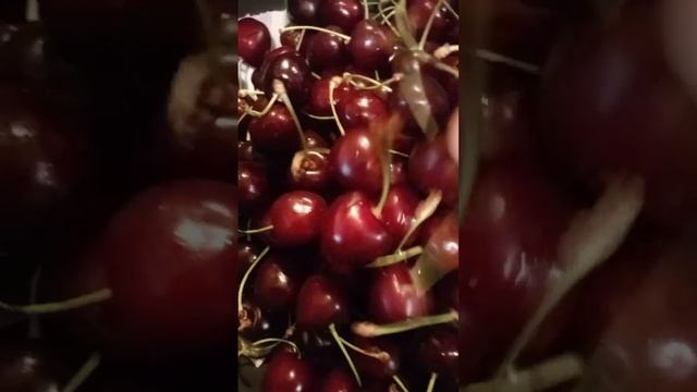 черешня Сибирь, Сургут, а у вас цена? смотреть онлайн