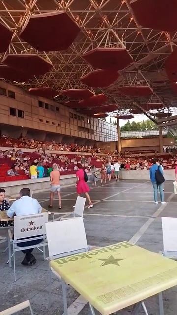 концертный зал фестивальный город Сочи смотреть онлайн