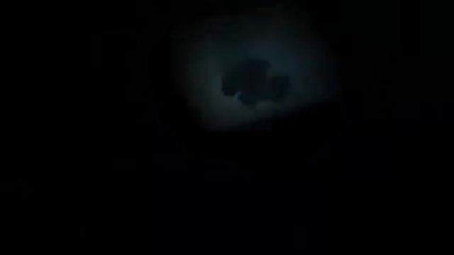 ОБЗОР ВЫСТАВКИ 
