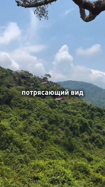 Почувствовать себя птичкой и насладиться тишиной! #travel #хайнань #китай смотреть онлайн