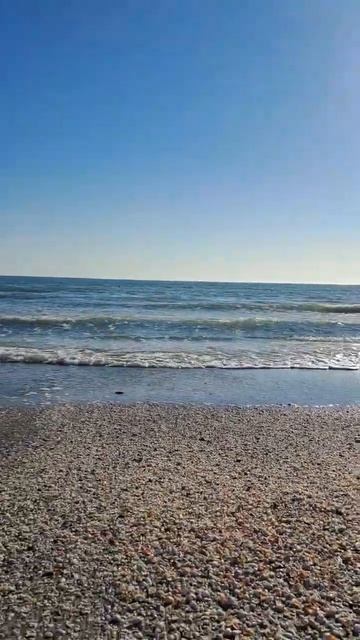 море 2022 "Аваза"отель "Хазар " смотреть онлайн