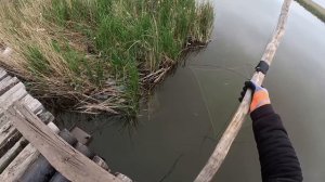 ЭТОТ САЗАН РАЗОРВАЛ МНЕ НОВЫЙ ПАУК!!! РЫБАЛКА НА ПАУК СО ВСЕМИ ЛЮБИМОГО МОСТА. САЗАН НА ПОДЪЁМНИК.