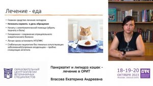 «Панкреатит и липидоз кошек - лечение в ОРИТ» – Екатерина Власова