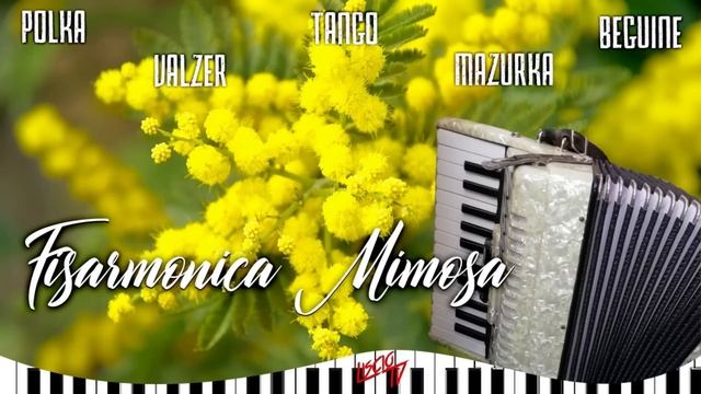 Fisarmonica Mimosa | Folk Liscio Ballo Da Sala | Fisarmonica 2024 |Fox, Paso Doble, Valzer