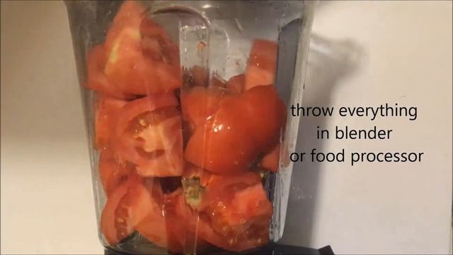 Quick Blender Salsa Recipe With Fresh Tomatoes
