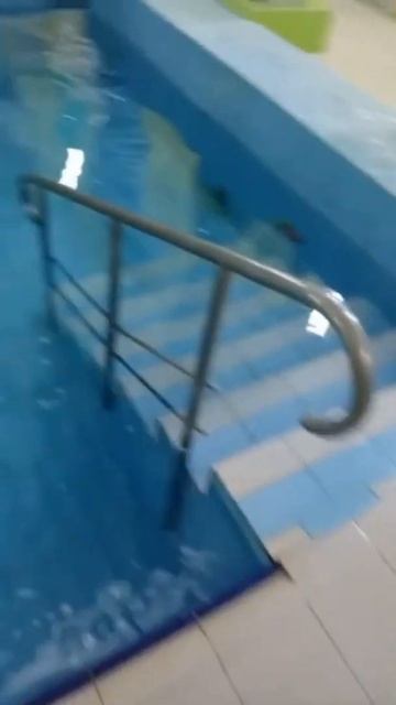 "Мы купались в антимире": волгоградка о посещении бассейна смотреть онлайн