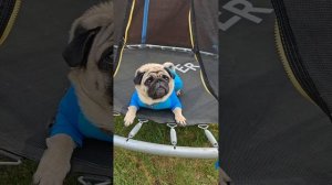 Физпскультура