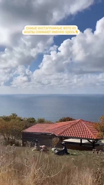 Координаты под видео смотреть онлайн