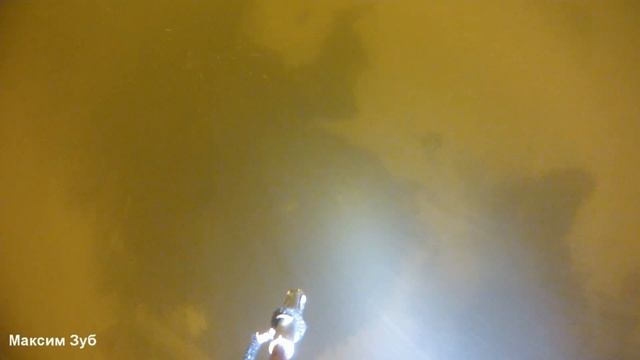 подводная охота на судака.15.02.2015г.р.Днепр.spearfishing