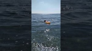 обзор на пляж пансионата ( Нева ). Советую по ехать!!!❤🧡💛💚💙💜🖤💓💝💞💗💖💕😘🥰😍