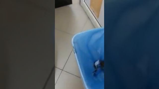 Хотели что-то подкинуть или что-то установить?! смотреть онлайн