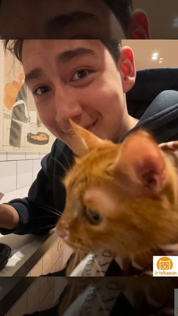 Питерские Пышки😋😋😋

#iriskasun #vk #кошки #котики #СПб #Пышки #Питер