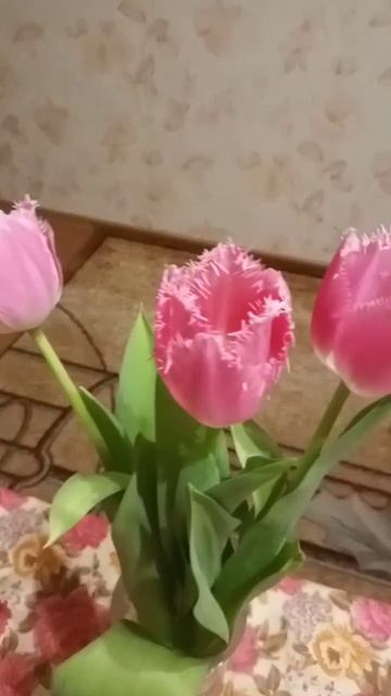 С 8 Марта!!!🌷🌷🌷🌷🌷🌷🌷 #8марта #shorts #2024 #международныйженскийдень #поздравляю #тюльпаны #цветы